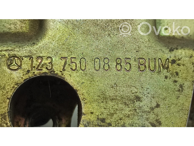 Zámek zadních dveří 1237500885   Mercedes-Benz E W123 1978