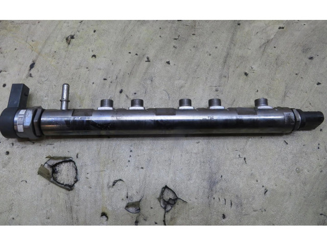 Vstřikovací lišta 851416601   Mini Cooper Countryman R60     