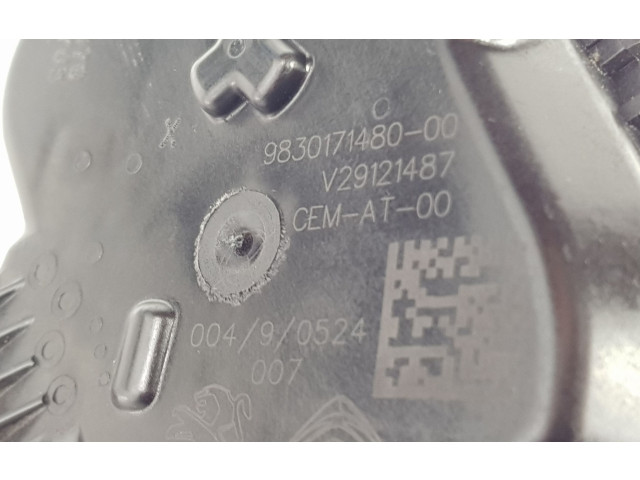 Zámek zadních dveří 9830171480, 9830171480   Peugeot 208 2012