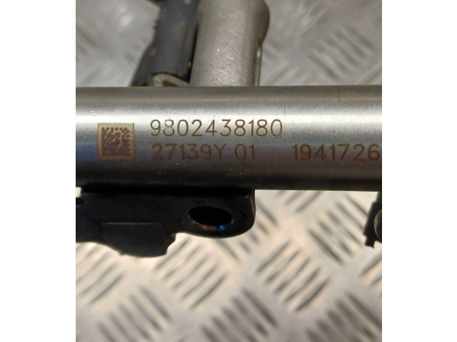 Vstřikovací lišta 9802438180, 1715495496   Citroen C3 Picasso    HN01 
