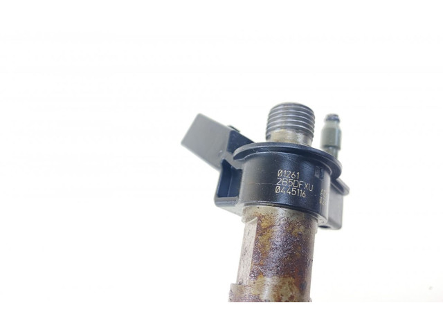 Комплект форсунок 0445116024, 7805428    BMW 5 GT F07  N57 D30 A 