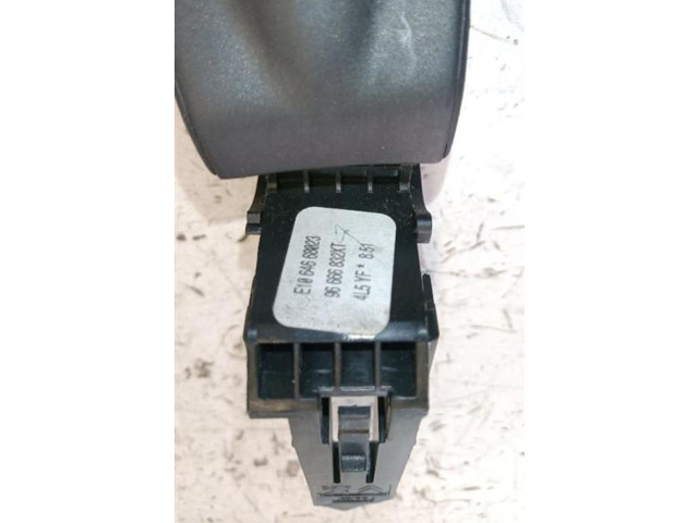 Vstřikovací lišta 9666683XT, 9666683XT   Citroen C3     