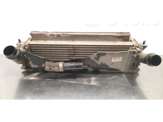 Интеркулер  144614JA0B   Nissan NP300 