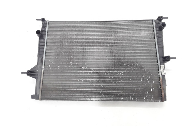 Блок предохранителей  214100014R   Renault Megane III    
