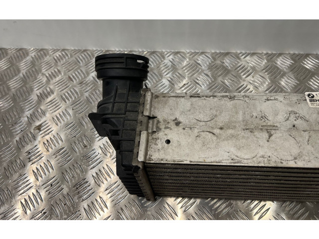 Радиатор интеркулера 7809321, 17517809321   BMW X5 F15       