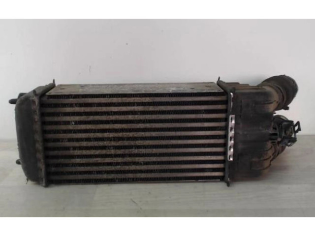 Vstřikovač 00000384N1, 00000384N1   Citroen C3 Picasso    DV6ATED4(9HX) 