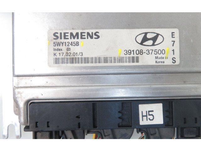 Řídící jednotka 5WY1245B, 3910837500   Hyundai Santa Fe 2001