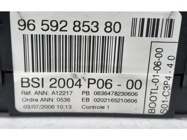   Pojistková skříňka 9659285380, 157291   Peugeot 207 2006
