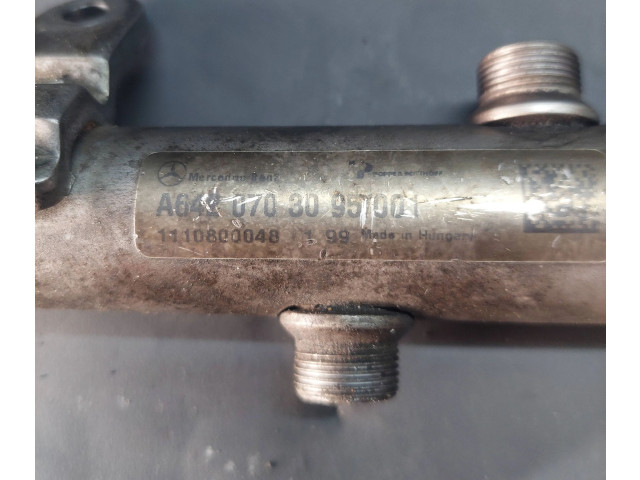 Vstřikovací lišta A6420703095, 1110800048   Mercedes-Benz E W212    642858 