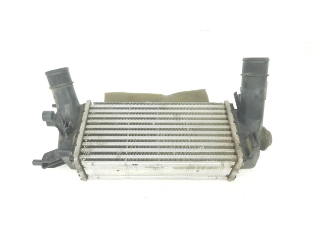 Интеркулер  2163154, H1BG6K775AC   Ford Ecosport 1.0