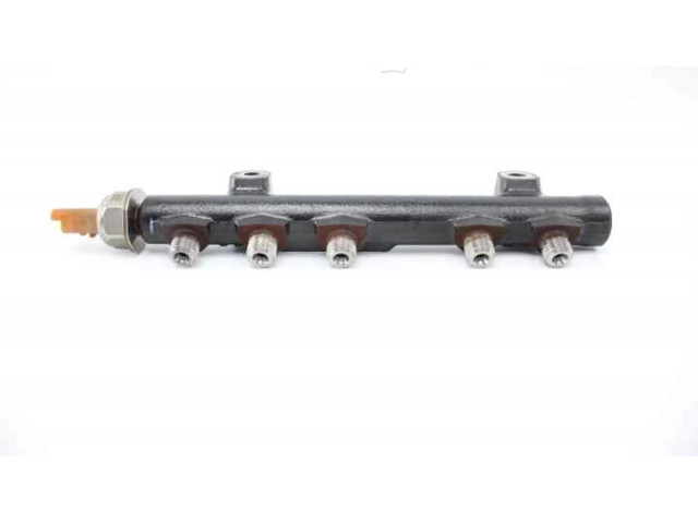 Vstřikovací lišta 9804776780, 9676643880   Peugeot 308     