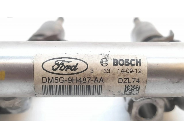 Топливная рампа 0261555137, DM5G9H487AA   Ford Fiesta 1.0  для двигателя SFJB