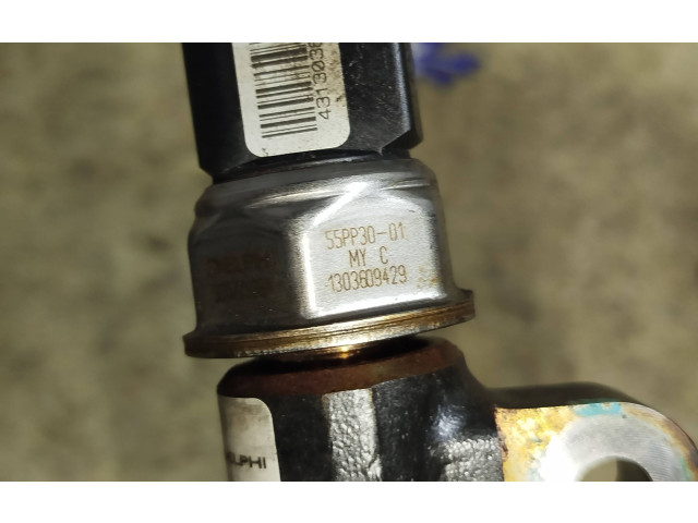 Топливная рампа 96868901, R9144Z300A   Opel Antara   для двигателя Z22D1