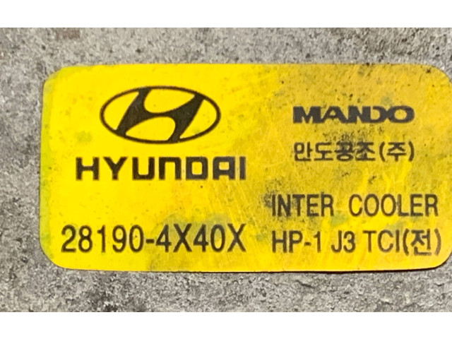 Přístrojová deska  Hyundai Terracan 2004 281904X40X, 281904X400  