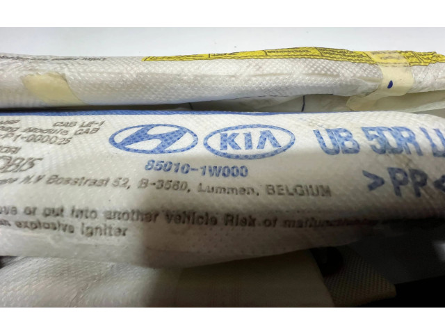 Боковая подушка безопасности 85010-1W000, 850101W000   KIA Rio