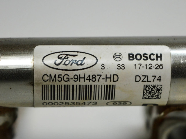 Vstřikovací lišta CM5G9H487HD, BM5G9F972BA   Ford Ecosport  pro benzínový motor 1.0  