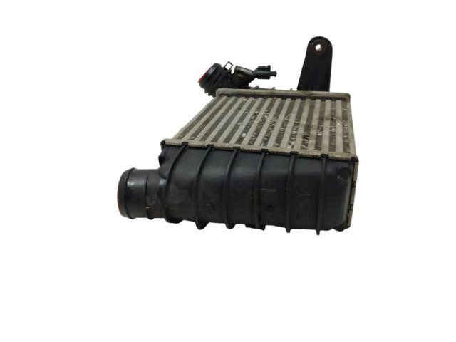 Интеркулер  6Q0145804A, 862403N   Skoda Fabia Mk2 (5J) 