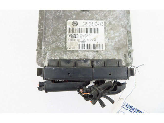 Řídící jednotka 6160131301, 036906034KE   Skoda Fabia Mk1 (6Y) 1999