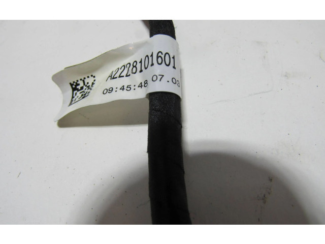 Zpětné zrcátko  Mercedes-Benz S W222 2013  A2228101601  