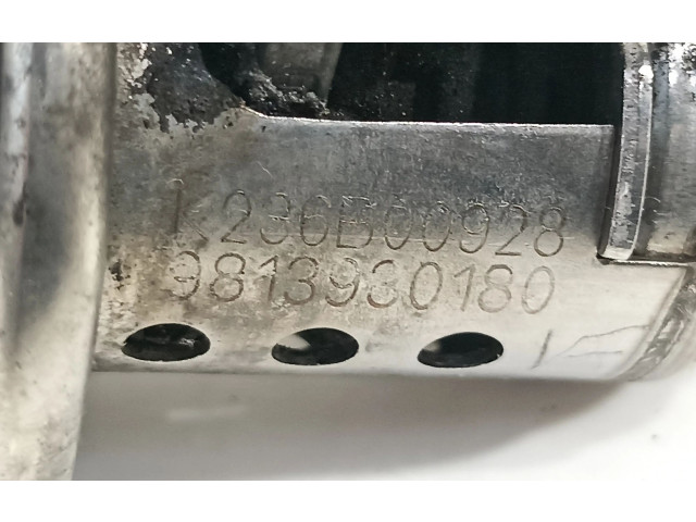 Vstřikovač 9813930180   Peugeot 3008 II    YH01 