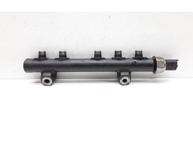 Vstřikovací lišta 9685297580   Volvo V40    D4162T 