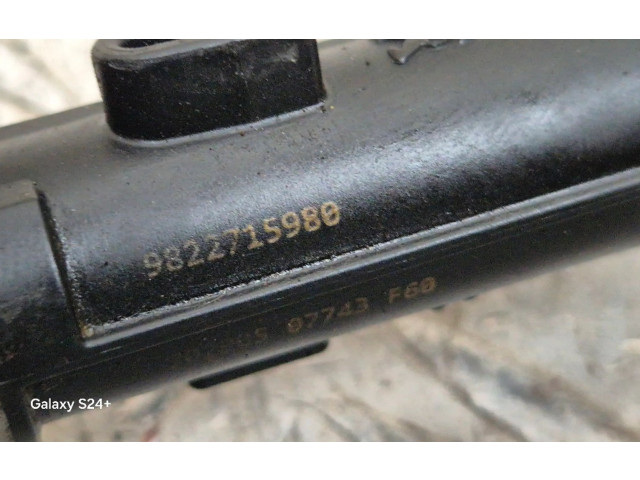 Форсунка 9822715980    Peugeot 5008 II   