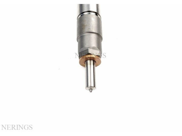 Форсунка 0445110955, 0445110954    Citroen SpaceTourer M   
