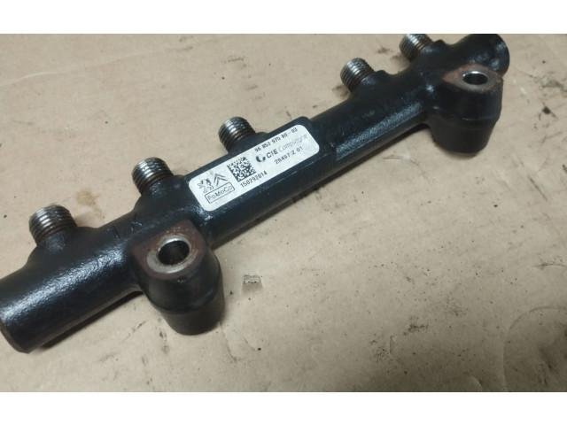 Vstřikovací lišta 968529758003   Peugeot 308     