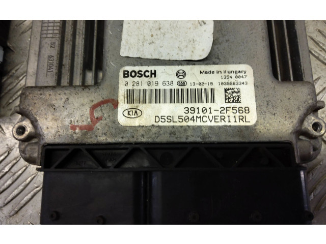 Комплект блоков управления 39101-2F568, 0281019638   KIA Sportage