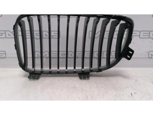 Přední maska  BMW 1 F20 F21 2011 ESQ  