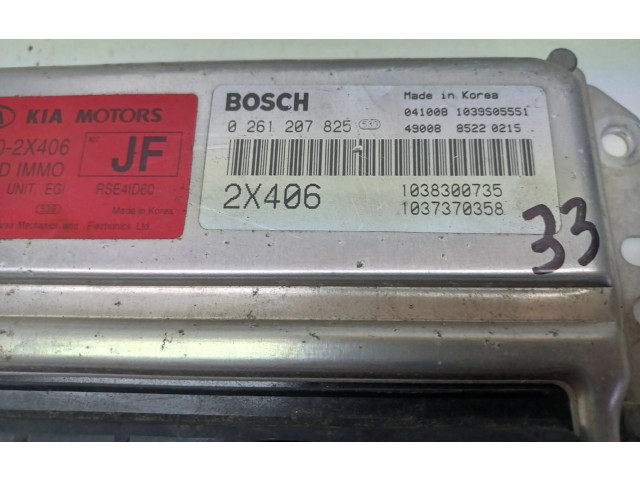 Řídící jednotka 39110-2x406, 0261207825   KIA Rio 2002