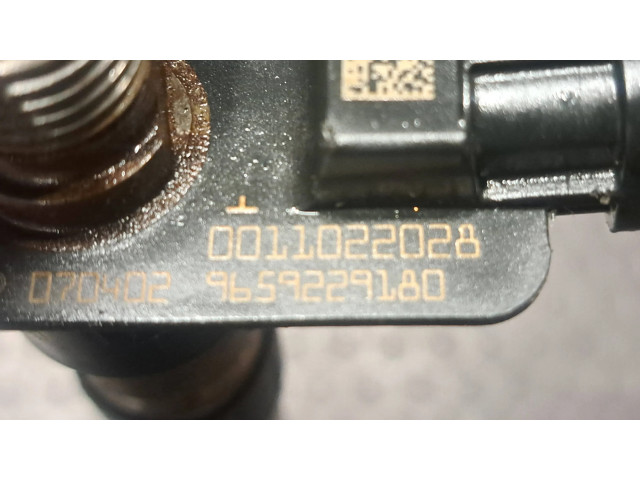 Vstřikovač 9659229180, 0011022028   Land Rover Freelander 2 - LR2  pro naftový motor 2.2  