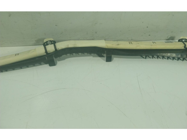 Подушка безопасности двери A2198600005, 6023718007   Mercedes-Benz CLS AMG C219