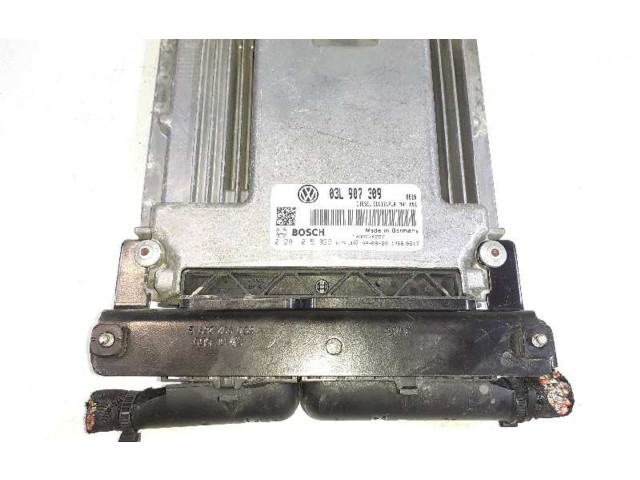 Řídící jednotka 03L907309, 0281015029   Volkswagen Passat Alltrack 2008