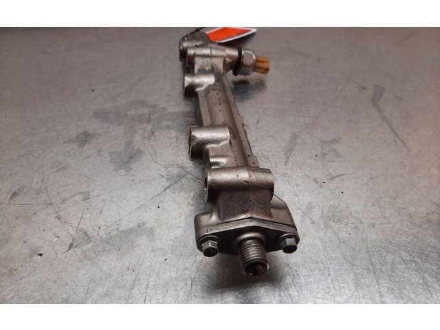 Vstřikovací lišta 14132962480, 14132962480   Nissan Micra C+C    HR12DDR 