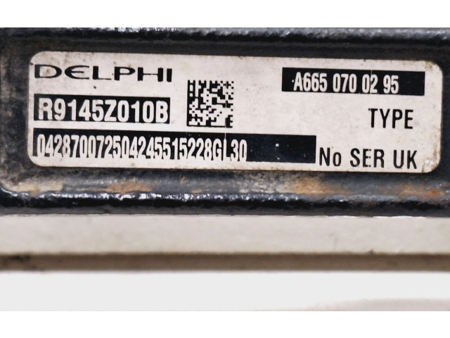 Vstřikovací lišta A6650700295, R9145Z010B   SsangYong Rexton     