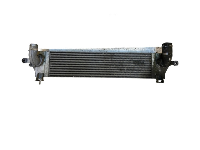 Интеркулер  14461JD50A, G3062003   Nissan Qashqai 