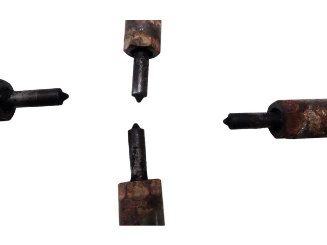 Жиклер (жиклеры) (форсунка (форсунки) 9641742880, 9641742880   Citroen C4 I Picasso