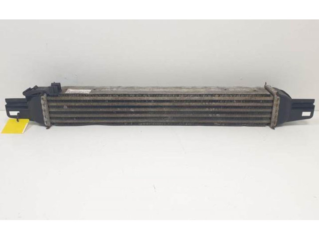 Интеркулер  51790623, L8119001   Peugeot Bipper 
