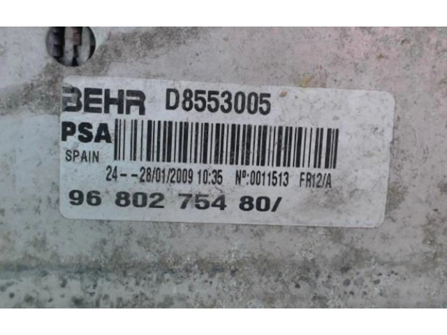 Vstřikovač 00000384N1, 00000384N1   Citroen C3 Picasso    DV6ATED4(9HX) 