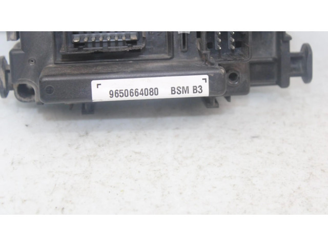 Zpětné zrcátko  Peugeot 406   9650664080  