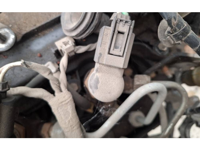 Жиклер (жиклеры) (форсунка (форсунки) 8200842205, h8200294788   Renault Laguna III
