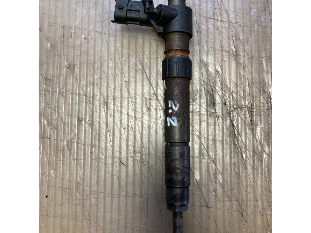 Vstřikovač 9687454480, 120525   Land Rover Range Rover Evoque L538  pro naftový motor 2.2  