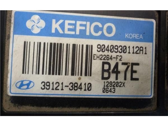 Řídící jednotka 3912138410, 9040930112A1   Hyundai Santa Fe 2003