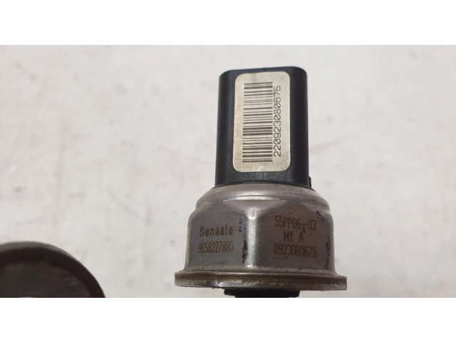 Топливная рампа 9681649580   Ford Kuga I 2.0  для двигателя D4204T