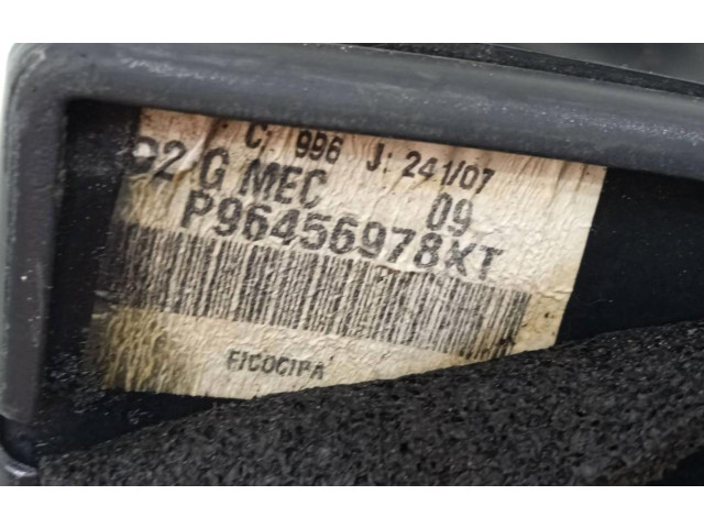 Zpětné zrcátko  Peugeot 207 CC   96456978  
