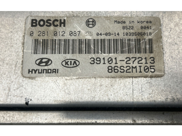 Řídící jednotka 0281012087, 86S2MI05   Hyundai Santa Fe 2004