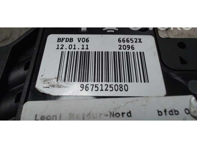   Pojistková skříňka 9675125080   Peugeot 207 2011