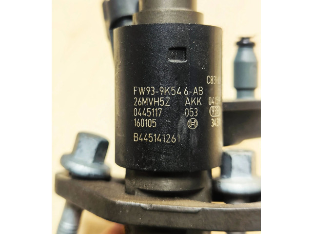 Vstřikovač FW939K546AB, B445141261   Land Rover Range Rover Sport L494    306TD 