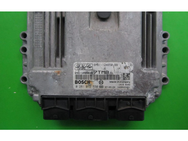 Řídící jednotka 6M61-12A650-BB, 0281012530   Mazda 3 I 2007